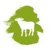 Beef Cows Moo