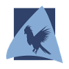 Parrot Macaw Parrot