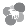 Cows Cattle Farmer