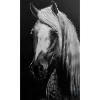 White Horse