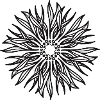 Abstract Sunflower