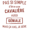 CAVALIÈRE GÉNIALE rouge brunâtre foncé