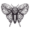 Moth / Animal / Insect / Larva / Pest