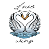 Love Wins - Swans Valentine's Day