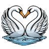 Swan Valentine's Day Illustration