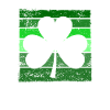 Shamrock de la Saint-Patrick vert