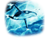 Blue Whale