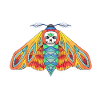 todeskopf.hawkmoth