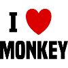 I love Monkey