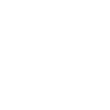 Baby Koala
