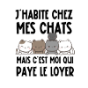 j'habite chez mes chats
