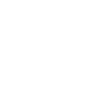 Baby Koala
