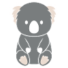 Baby Koala