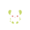 Humour petit bébé koala