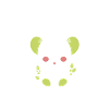 Humour petit bébé koala