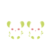 Humour petit bébé koala