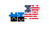 Estonia USA Flag American Estonian