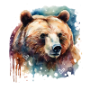 bjørn, kraftdyr, livskraft, mod, instinkt