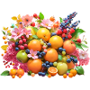 Fruits and flowers