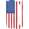 Sport Us Flag Bodybuilding