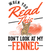 Fennek Geschenk Wüstenfuchs Fennec