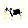 Horse Riding