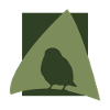 Bird Watching Flying Bird