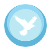 Animal, Volée D’oiseaux, Oiseaux