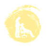 Chiropractor Chiropractic Adjustment