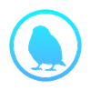 Bird Birds Budgie
