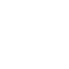 Minimalist Squirrel Silhouette