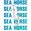 Hippocampe jeu d’écriture océan amour