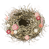 leeres Vogelnest oder Osternest mit Trockenblumen