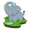 Elephant Bathing Water