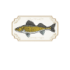 Walleye Fishing Angler