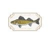 Walleye Fishing Angler