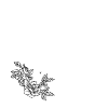 Lettre W Fleur