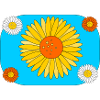 Gerbera on turquoise