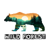 Bear – Wild Forest