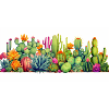 Cactus 2