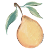 Pear