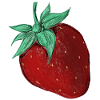 Erdbeere