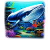 Blauwal