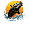 Blue Whale