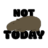 Not today Capybara