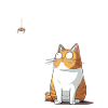 Katze vs. Spinne