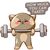 Cat Brave Training Motivation