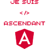 Angular Developer Gift