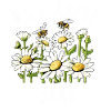 Wildflower Fields Wildflowers Bluebonnet