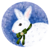 Winter Bunny